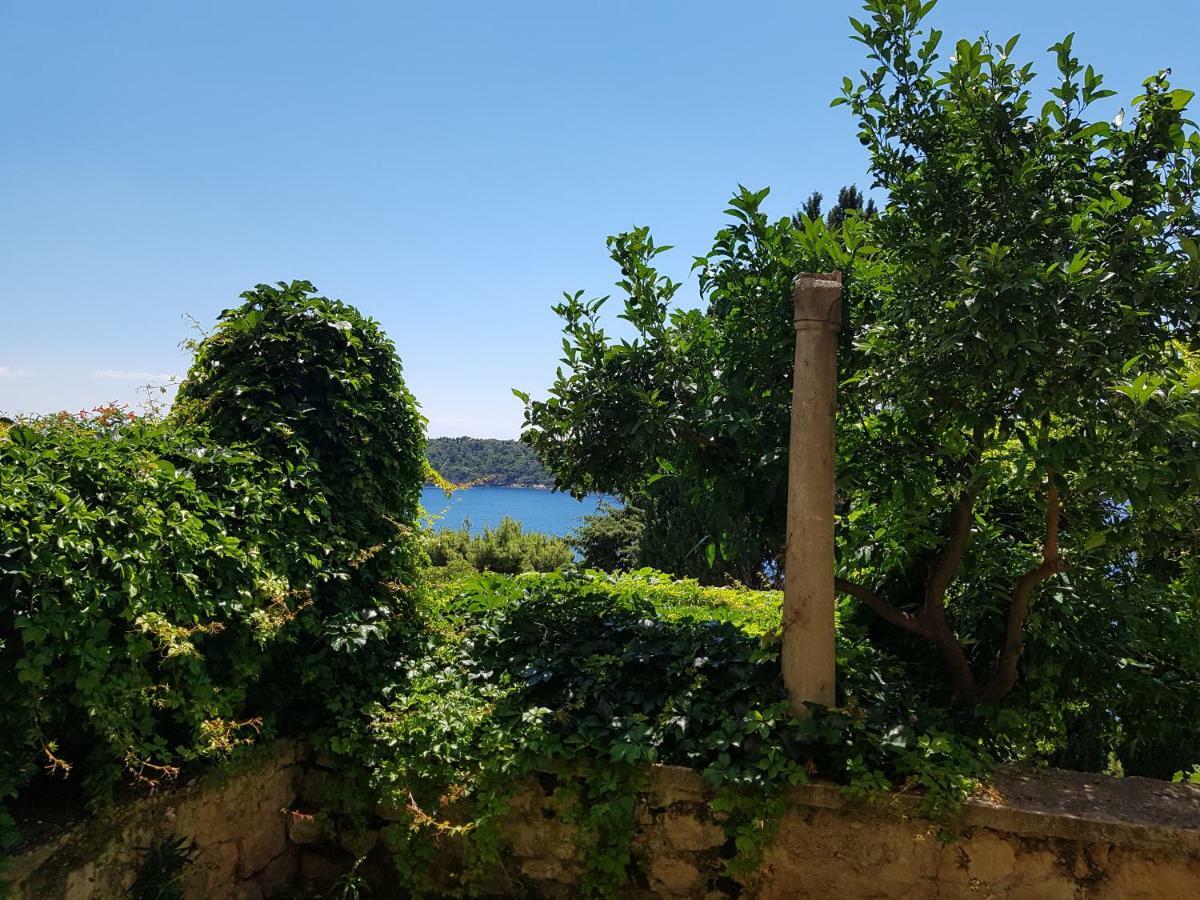 Villa Palmera Dubrovnik Luaran gambar